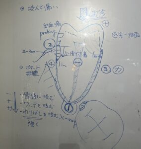 診断学のセミナーが歯科医院の１階で行われました